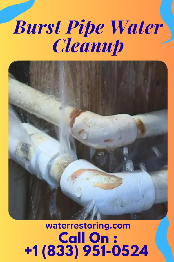 Burst Pipe Water Cleanup in Crothersville, IN